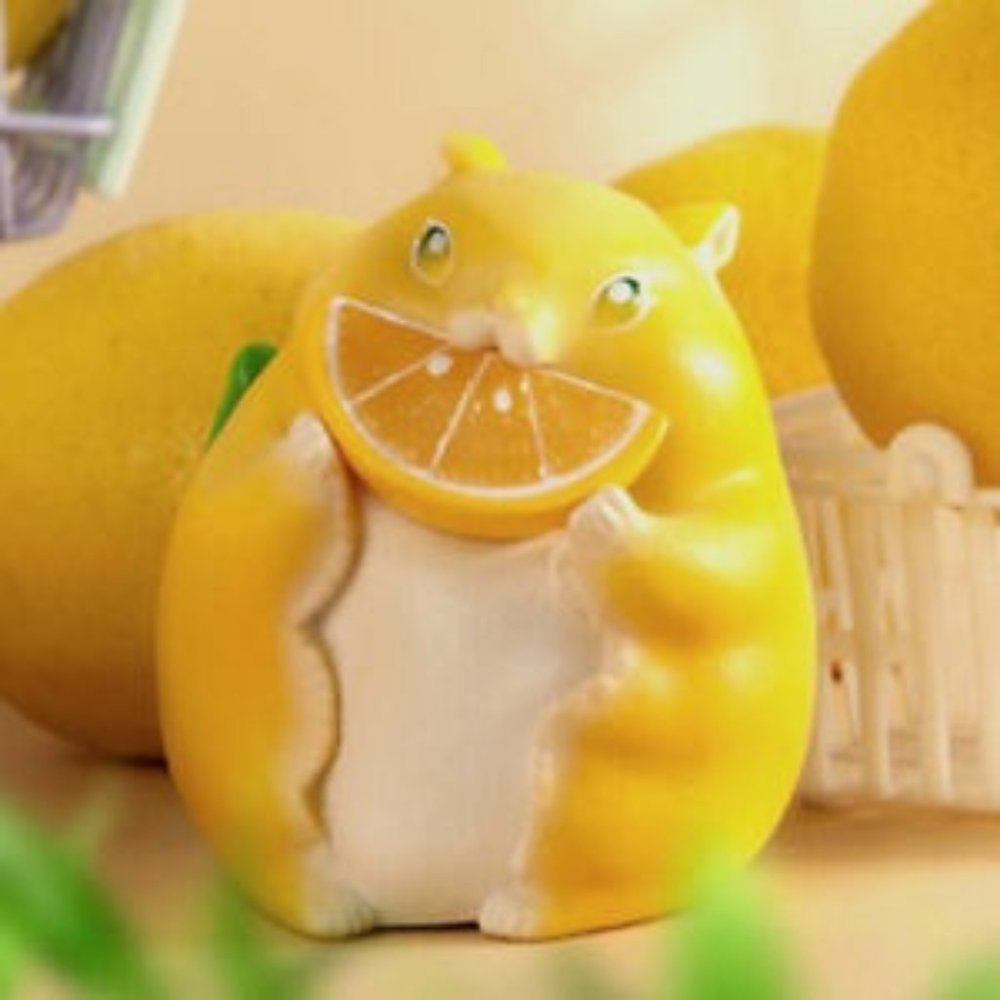 Dodowo Ponkichi Fruit Fairies Lemon Flying Squirrel LeMomonga Figure CIB Series1